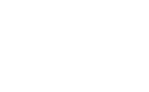 Proactive SEO Solutions